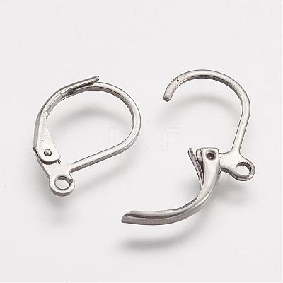 Tarnish Resistant 316 Surgical Stainless Steel Leverback Earring Findings STAS-P113-01-1