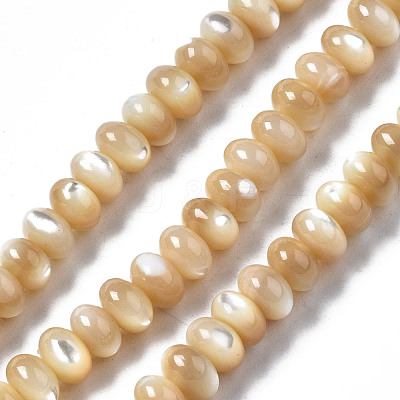 Natural Trochid Shell/Trochus Shell Beads Strands SSHEL-S266-017B-1