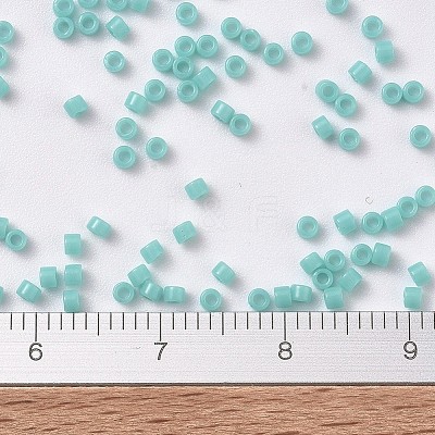 MIYUKI Delica Beads SEED-J020-DB1136-1