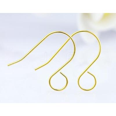 100Pcs 316 Stainless Steel French Earring Hooks JX138B-1