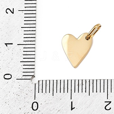 304 Stainless Steel Charms STAS-L291-01G-U-1
