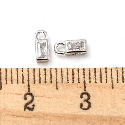 Real Platinum Plated Rhodium Plated 925 Sterling Silver Charms STER-K176-03E-P-1