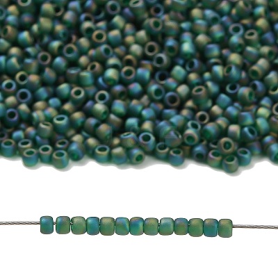 TOHO 11/0 Round Beads X-SEED-TR11-0179F-1