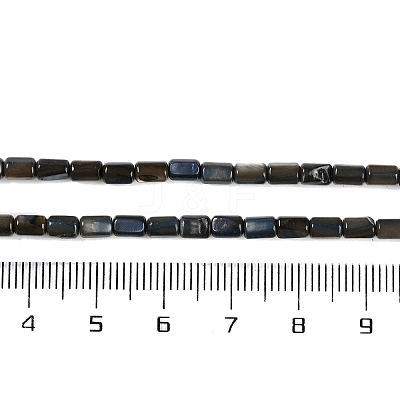 Natural Freshwater Shell Beads Strands BSHE-H109-17E-1