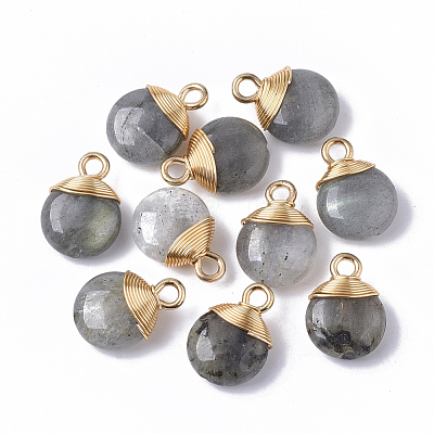 Natural Labradorite Pendants G-S359-021A-1