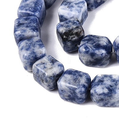 Natural Blue Spot Jasper Beads Strands G-Q608-10G-1