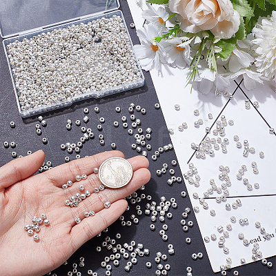 100G Glass Seed Beads SEED-SP0001-12B-02-1