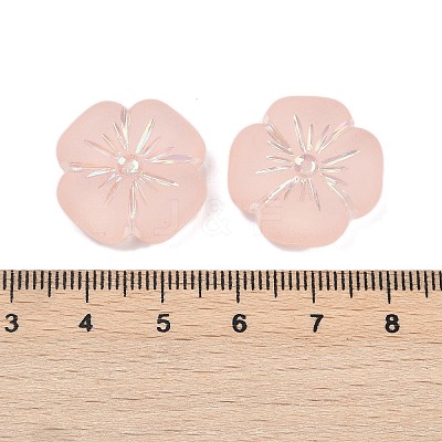 Frosted Transparent Acrylic Beads X1-OACR-P029-19B-02-1