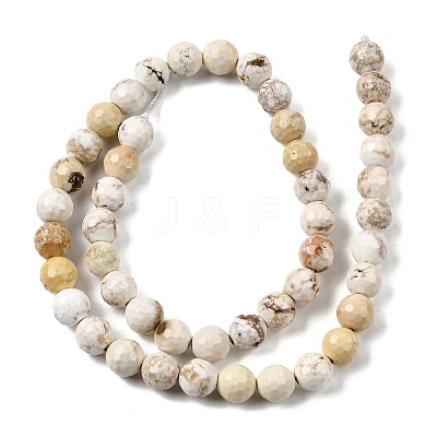 Natural Magnesite Beads Strands G-P598-E-8mm-03-1