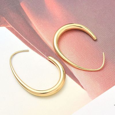 304 Stainless Steel Teardrop Dangle Earrings X-EJEW-Z158-01G-1
