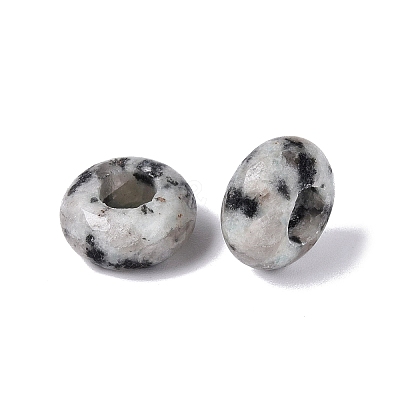 Natural Labradorite European Beads G-N359-17A-06-1