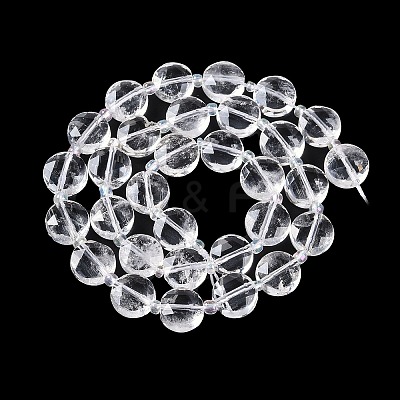 Natural Quartz Crystal Beads Strands G-N342-1