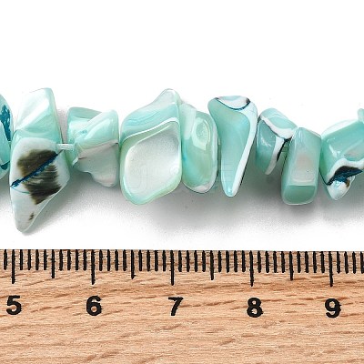 Natural Trochid Shell/Trochus Shell Beads Strands SHEL-B003-02K-1