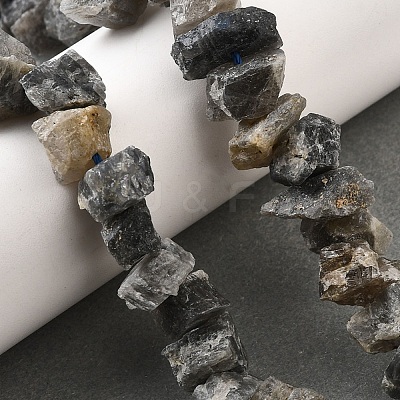 Natural Labradorite Beads Strands G-I283-F14-1