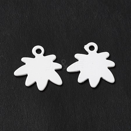 Spray Painted 201 Stainless Steel Charms STAS-I672-17B-1