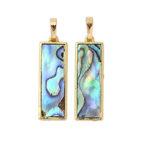 Rack Plating Natural Paua Shell Pendants KK-E059-14G-1