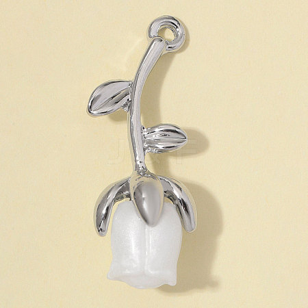 Zinc Alloy with Resin Pendants RE-OY001-12P-1