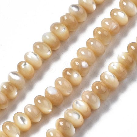 Natural Trochid Shell/Trochus Shell Beads Strands SSHEL-S266-017B-1