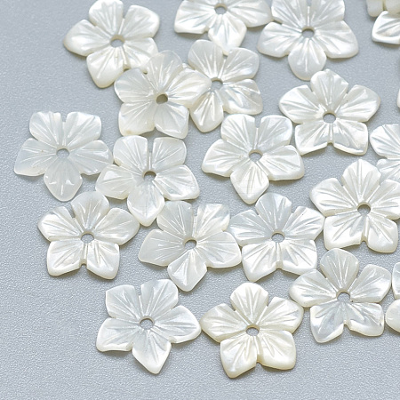 Natural White Shell Beads SSHEL-S260-006-1