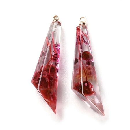 Inner Dried Flower Transparent Resin Pendants LS-RESI-A043-08A-1