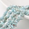 Chip Natural Larimar Bead Strands G-M349-09-1