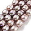 Natural Cultured Freshwater Pearl Beads Strands  PEAR-P062-13F-X-2