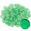 1 Set Resin Luminous Glow in the Dark Pebbles Stone DJEW-CN0001-40D-6