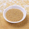 MIYUKI Round Rocailles Beads SEED-X0054-RR0251-2
