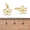 Brass Charms KK-CBA5585-04G-3