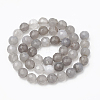 Natural Grey Agate Beads Strands G-S335-02-2