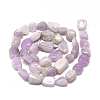 Natural Kunzite Beads Strands G-R445-8x10-29-2