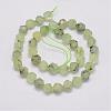 Natural Prehnite Bead Strands G-G970-06-10mm-2