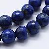 Natural Lapis Lazuli Beads Strands G-E465-8mm-01-3