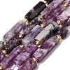 Natural Lepidolite/Purple Mica Stone Beads Strands G-D353-A17-2