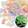 Luminous Transparent Acrylic Beads OACR-B031-16-1
