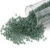 TOHO Round Seed Beads X-SEED-TR11-1070-1