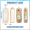 12Pcs 2 Styles Natural Paua Shell/Abalone Shell Pendants FIND-BC0013-35-2