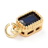 Real 18K Gold Plated Brass Inlaid Cubic Zirconia Charms LS-ZIRC-L100-075G-05-3