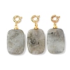 Natural Labradorite Pendant Decorations G-G461-01G-07-1