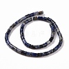 Natural Blue Spot Jasper Beads Strands G-G990-C12-3