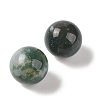 Natural Indian Agate No Hole Sphere Beads G-K353-04B-09-2