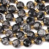 Natural Larvikite Beads Strands G-C116-A30-02-2