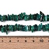 Natural Freshwater Shell Beads Strands SHEL-T020-41-4