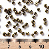 8/0 Glass Seed Beads X1-SEED-A009-3mm-601-3