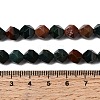 Natural Bloodstone/Heliotrope Beads Strands G-Z119-A16-02-6