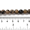 Natural Chiastolite Beads Strands G-Q161-A03-03-5