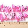 Dyed Natural Trochus Shell Beads Strands SSHEL-C013-09E-4