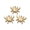 304 Stainless Steel Charms STAS-Z121-09G-1