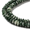 Natural Green Spot Beads Strands G-Z030-A03-01-3