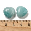 Natural Amazonite Beads G-P531-A01-01-3